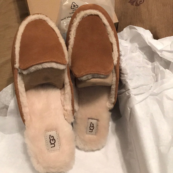 lane ugg slippers